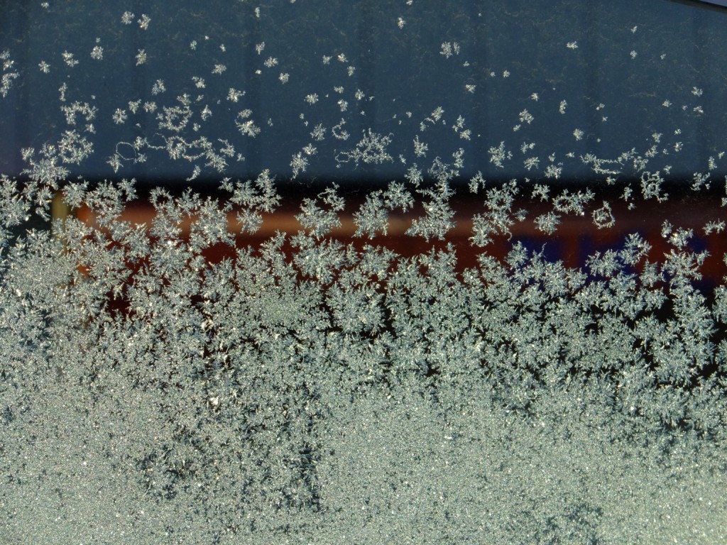 クルマの窓ガラスの霜　　2015.2．3