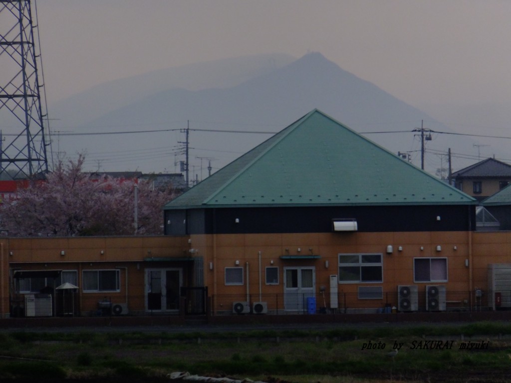 筑波山　　2015.4．13