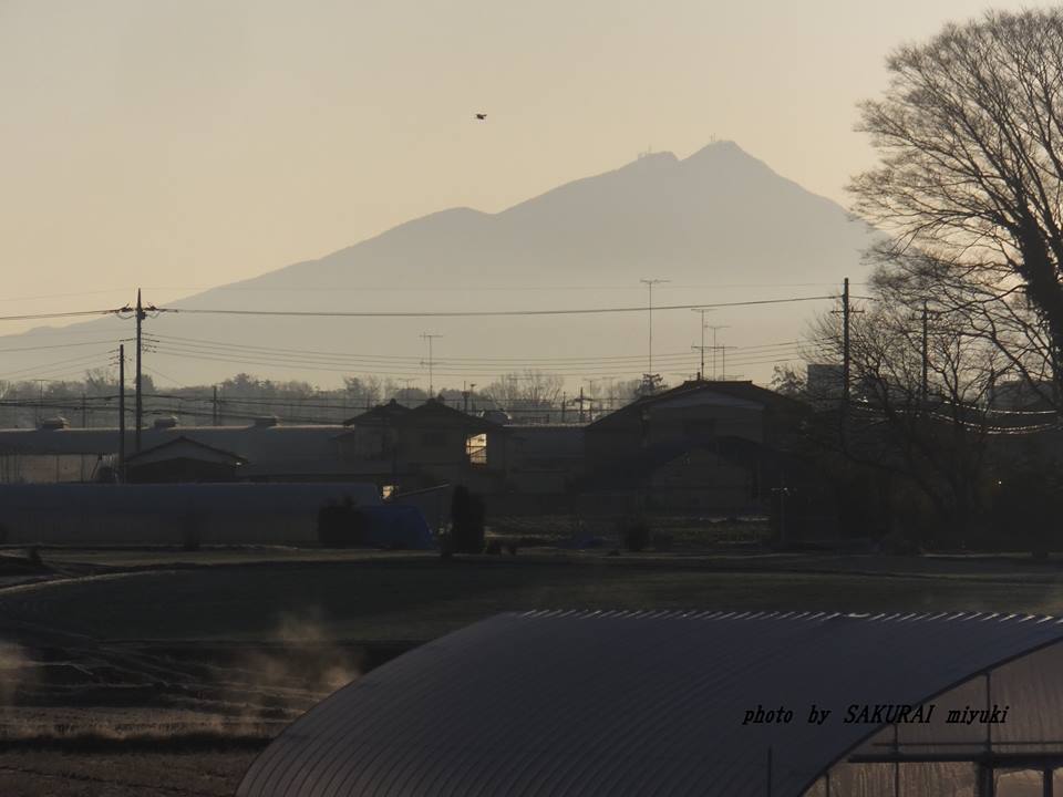 今朝の筑波山　2015.1．29