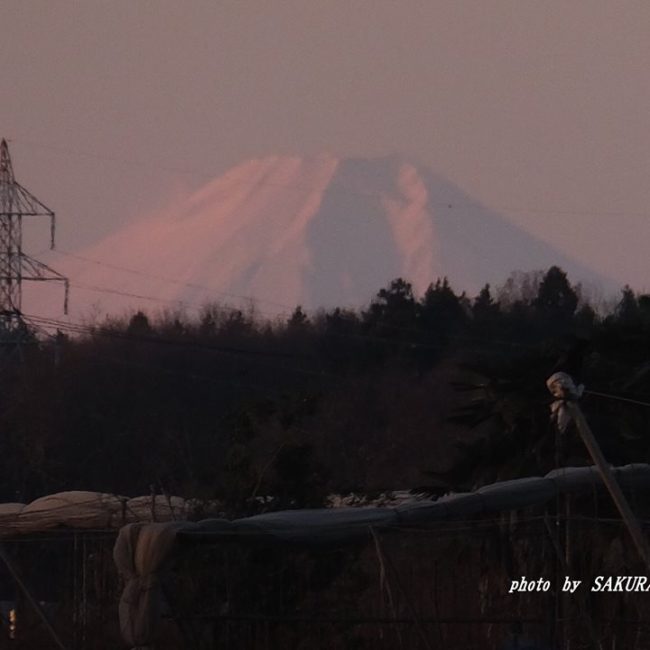 富士山　2014.12．21