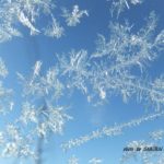 クルマのフロントガラスについた霜がきれいだった　2015.1．10　栃木県小山市