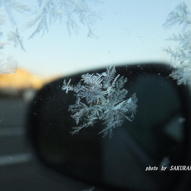 クルマの窓の霜　2014.1．2.29