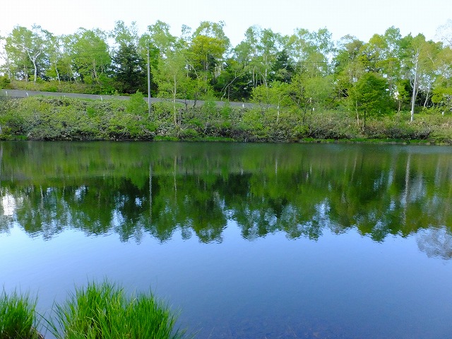 上の小池