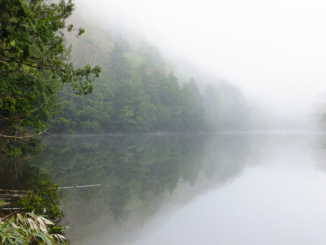 霧の長池